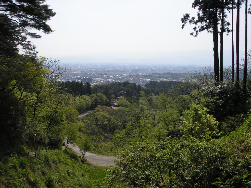 山城こ怖ええ！